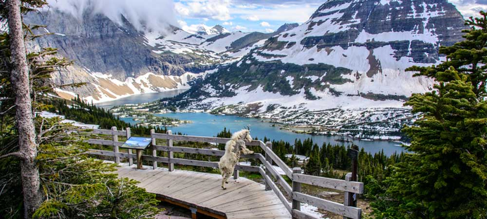 Glacier National Park